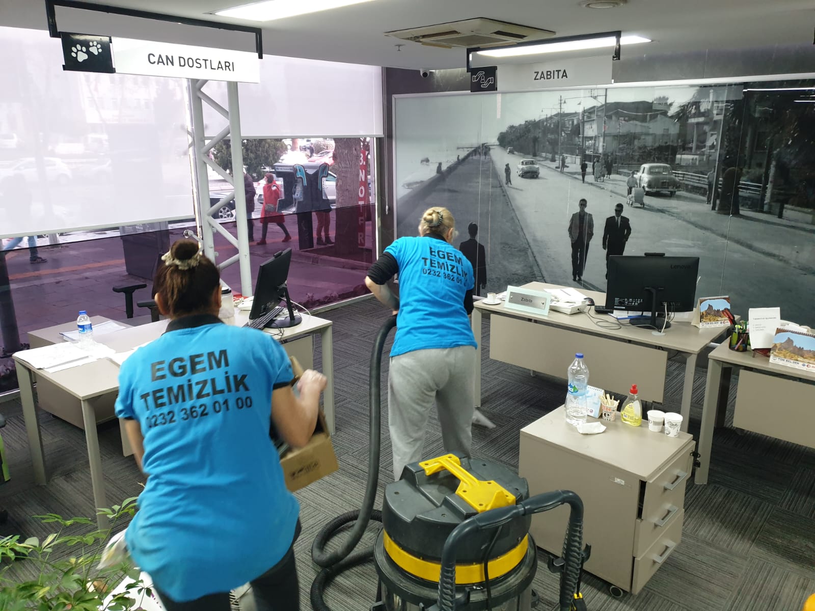 İzmir Profesyonel Temizlik